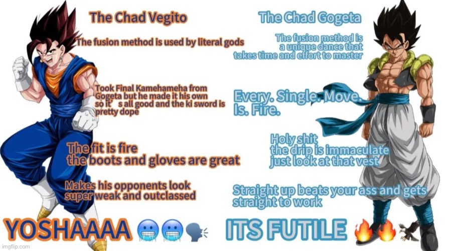 we both chads | image tagged in vegeta,goku,dbz fusion,anime,dbz,chad | made w/ Imgflip meme maker