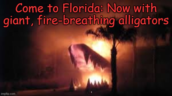 Burning gator | Come to Florida: Now with giant, fire-breathing alligators | image tagged in alligator,florida,meanwhile in florida,fire | made w/ Imgflip meme maker