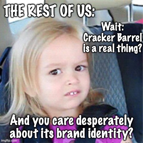Confused Little Girl | THE REST OF US: And you care desperately about its brand identity? Wait: Cracker Barrel is a real thing? | image tagged in confused little girl | made w/ Imgflip meme maker