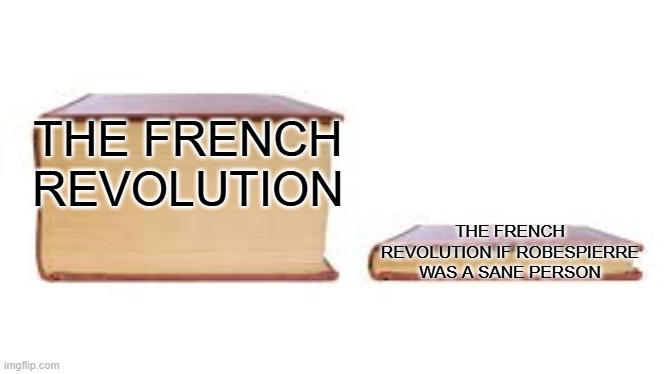 Big book small book | THE FRENCH REVOLUTION; THE FRENCH REVOLUTION IF ROBESPIERRE WAS A SANE PERSON | image tagged in big book small book,french revolution,historical meme,history memes,history,france | made w/ Imgflip meme maker