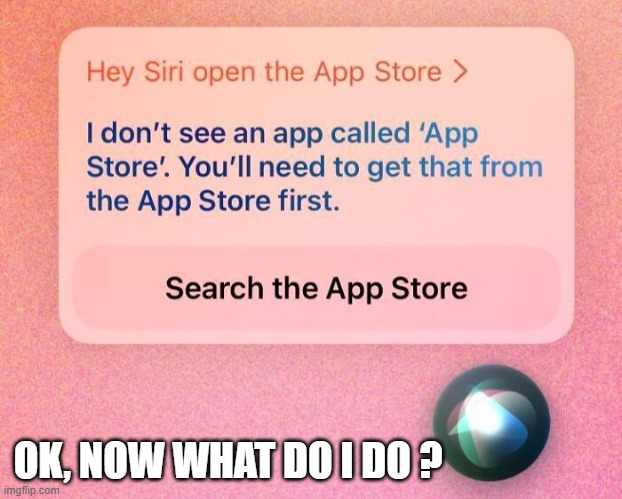 Siri just told me to search the APP store to find the APP store. What now? | OK, NOW WHAT DO I DO ? | image tagged in games,siri,apps,computer,alexa,video games | made w/ Imgflip meme maker