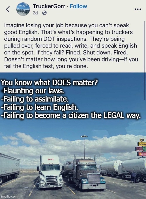 Democrats created this mess, but now they whine over the clean-up. | You know what DOES matter?
-Flaunting our laws.
-Failing to assimilate.
-Failing to learn English.
-Failing to become a citizen the LEGAL way. | image tagged in illegal immigration,break,law,go home | made w/ Imgflip meme maker