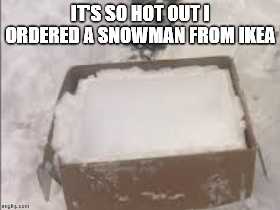 It's so hot out, I just ordered a snowman from IKEA.   - funny - | image tagged in funny,play on words,ikea,snowman,hot,humor | made w/ Imgflip meme maker