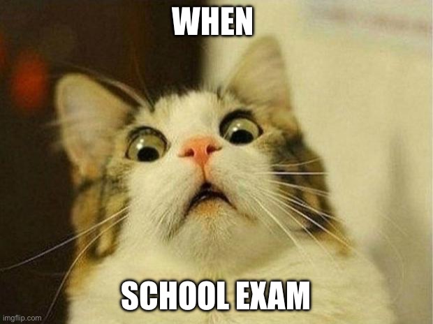 Scared Cat Meme | WHEN; SCHOOL EXAM | image tagged in memes,scared cat | made w/ Imgflip meme maker