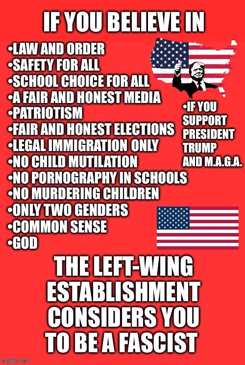 A few other things as well… | •IF YOU 
SUPPORT
PRESIDENT 
TRUMP
AND M.A.G.A. | image tagged in political meme,if you believe in,common sense,maga,leftwing establishment | made w/ Imgflip meme maker