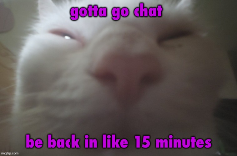 whuh??? | gotta go chat; be back in like 15 minutes | image tagged in whuh | made w/ Imgflip meme maker