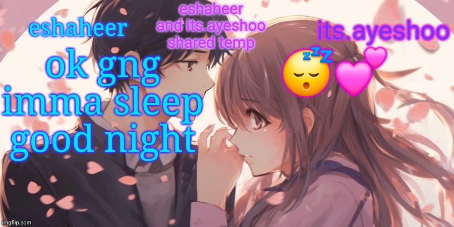 eshaheer and its.ayeshoo shared template | ok gng imma sleep good night; 😴💕 | image tagged in eshaheer and its ayeshoo shared template | made w/ Imgflip meme maker