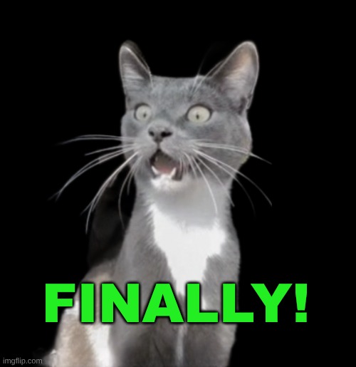 Speechless Cat | FINALLY! | image tagged in speechless cat | made w/ Imgflip meme maker