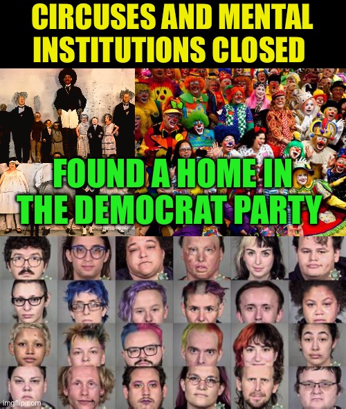 Freaks and clowns now on the city streets | CIRCUSES AND MENTAL INSTITUTIONS CLOSED; FOUND A HOME IN THE DEMOCRAT PARTY | image tagged in gifs,democrats,homeless,freaks,clowns | made w/ Imgflip meme maker