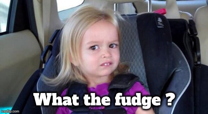 wtf girl | What the fudge ? | image tagged in wtf girl | made w/ Imgflip meme maker