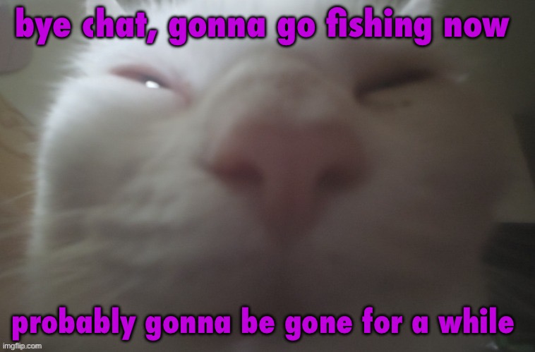 whuh??? | bye chat, gonna go fishing now; probably gonna be gone for a while | image tagged in whuh | made w/ Imgflip meme maker