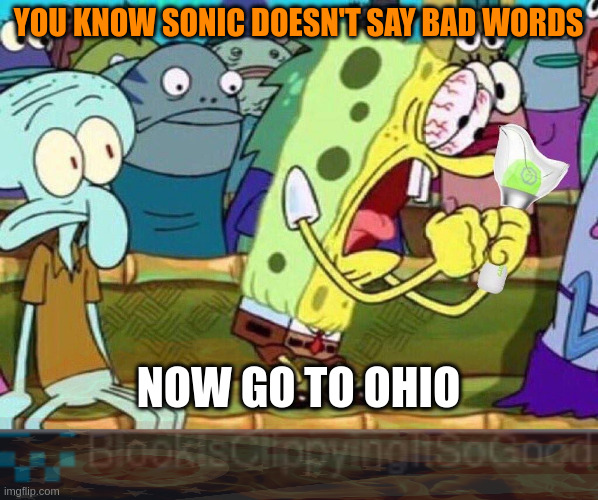 YOU KNOW SONIC DOESN'T SAY BAD WORDS NOW GO TO OHIO | image tagged in spongebob screaming | made w/ Imgflip meme maker