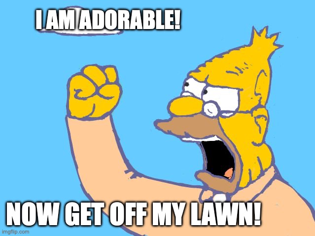 Adorable | I AM ADORABLE! NOW GET OFF MY LAWN! | image tagged in old man yells at cloud | made w/ Imgflip meme maker