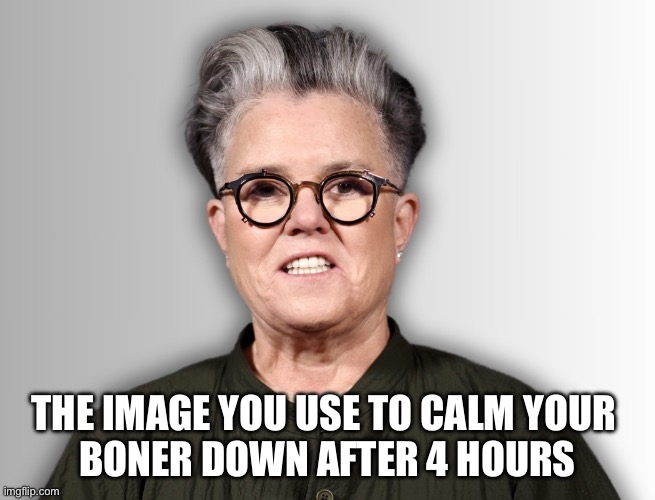Rosie O'Donnell | THE IMAGE YOU USE TO CALM YOUR 
BONER DOWN AFTER 4 HOURS | image tagged in rosie o'donnell | made w/ Imgflip meme maker