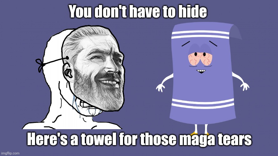 Towelie South Park | You don't have to hide Here's a towel for those maga tears | image tagged in towelie south park | made w/ Imgflip meme maker