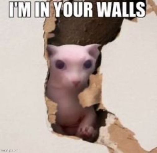 im in your walls | image tagged in im in your walls | made w/ Imgflip meme maker