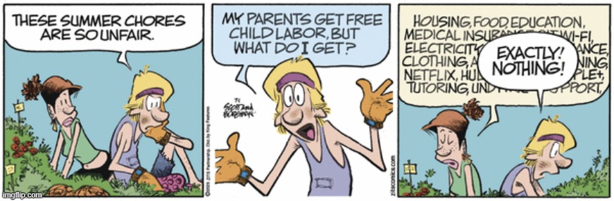 Zits | image tagged in comics | made w/ Imgflip meme maker
