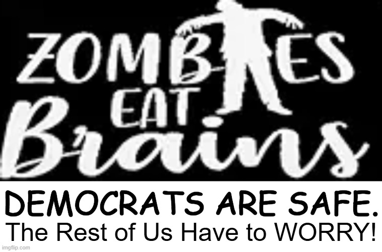 Funny cuz it's TRUE . . . | DEMOCRATS ARE SAFE. The Rest of Us Have to WORRY! | image tagged in crying democrats,liberalism,for dummies,we are not the same,americans,leftists | made w/ Imgflip meme maker