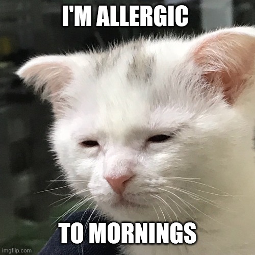 Mornings | I'M ALLERGIC; TO MORNINGS | image tagged in i'm awake but at what cost,fun | made w/ Imgflip meme maker