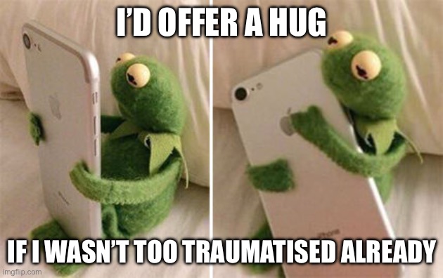 No hugs | I’D OFFER A HUG IF I WASN’T TOO TRAUMATISED ALREADY | image tagged in kermit hug,hugs | made w/ Imgflip meme maker