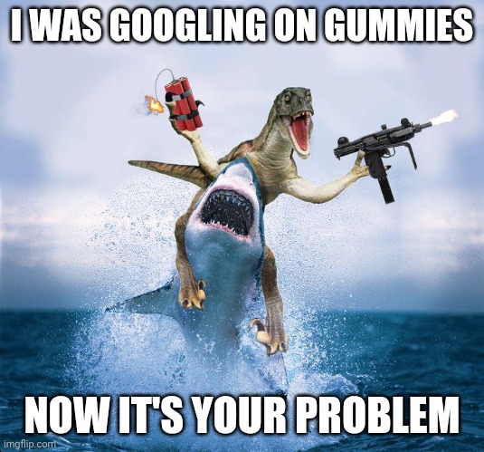 Googling on Gummies | I WAS GOOGLING ON GUMMIES; NOW IT'S YOUR PROBLEM | image tagged in raptor riding shark,drugs,high,google | made w/ Imgflip meme maker