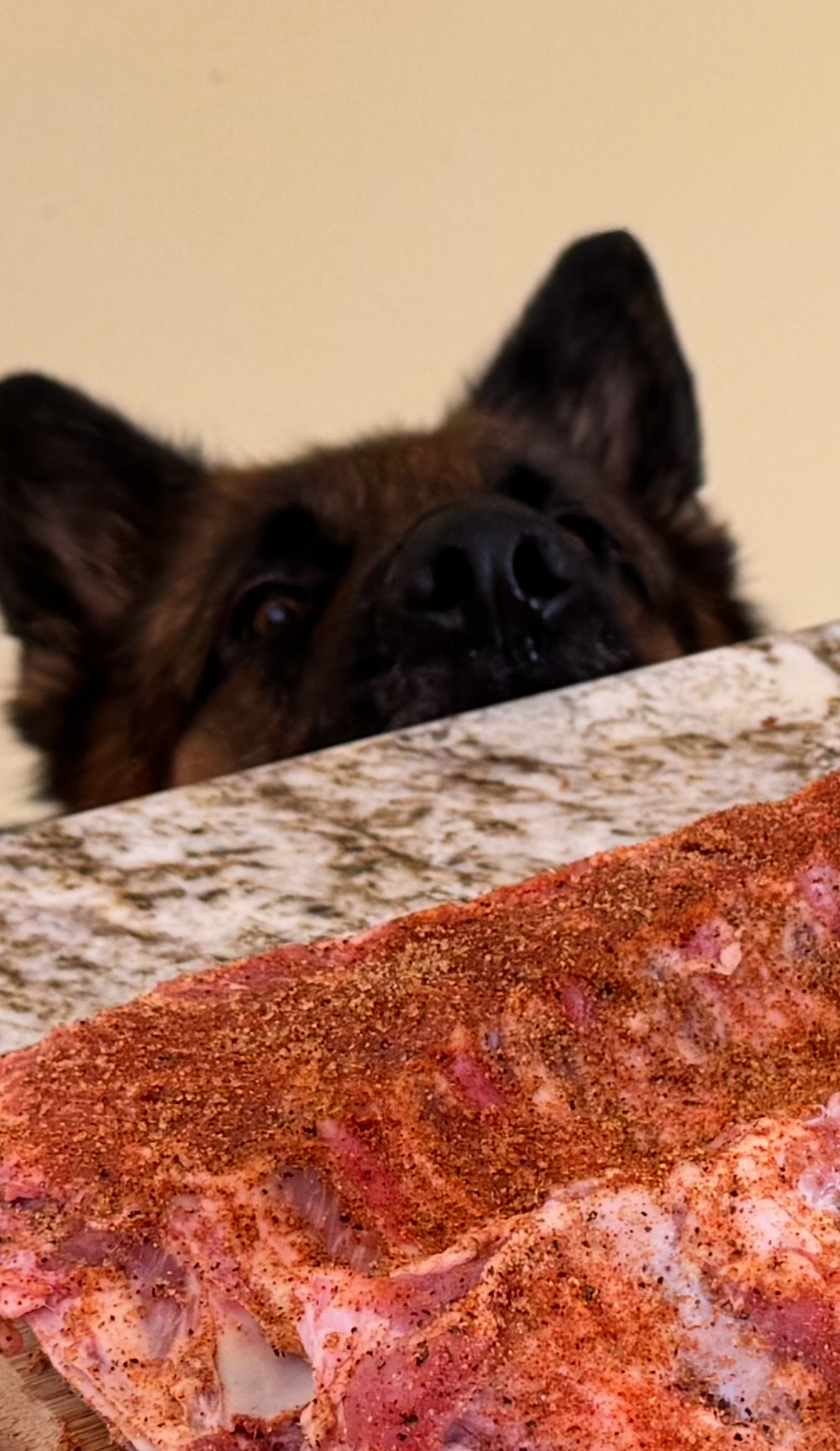 Charlie hungry Blank Meme Template