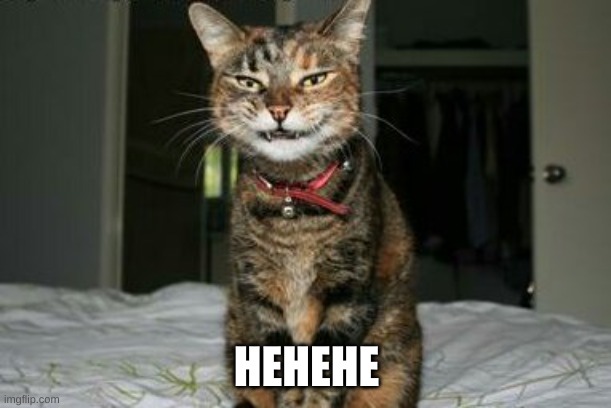 Evil Smile Cat | HEHEHE | image tagged in evil smile cat | made w/ Imgflip meme maker