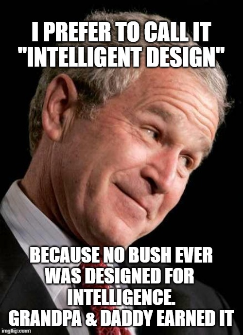 CREATIONISM: Science only Reveals The Plan, it does not disprove an Allegory | I PREFER TO CALL IT
"INTELLIGENT DESIGN" BECAUSE NO BUSH EVER
WAS DESIGNED FOR 
INTELLIGENCE.
GRANDPA & DADDY EARNED IT | image tagged in george w bush blame,artificial intelligence,darwin award,evolution,industrial,revolution | made w/ Imgflip meme maker
