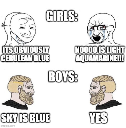 yes | GIRLS:; ITS OBVIOUSLY CERULEAN BLUE; NOOOO IS LIGHT AQUAMARINE!!! BOYS:; YES; SKY IS BLUE | image tagged in chad we know | made w/ Imgflip meme maker
