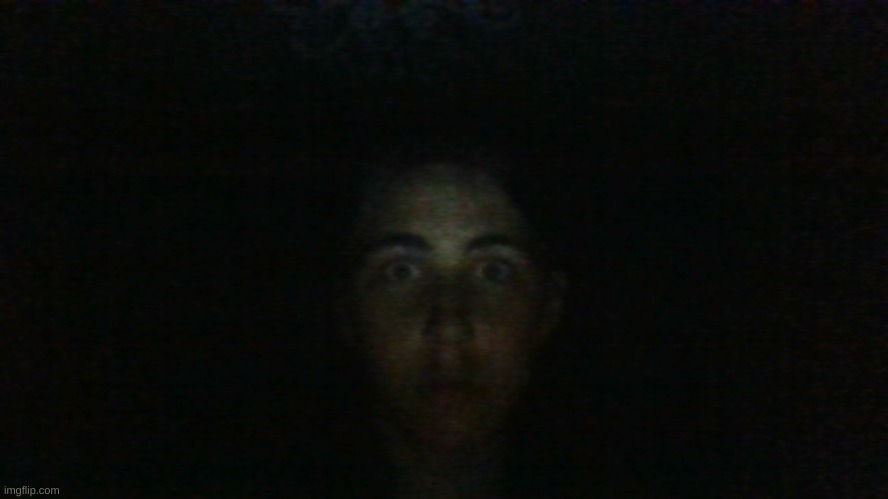 the horror | image tagged in the horror | made w/ Imgflip meme maker