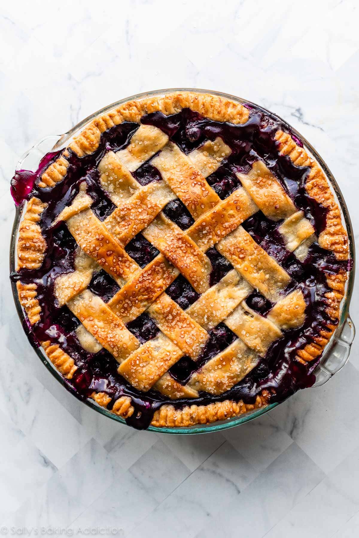 Homemade Blueberry Pie Blank Meme Template