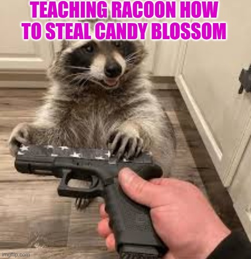 grow a garden | image tagged in memes | made w/ Imgflip meme maker