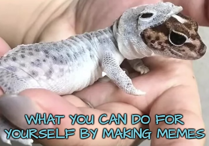 New Self Emerges | WHAT YOU CAN DO FOR YOURSELF BY MAKING MEMES | image tagged in find your inner self,release the dragon,express yourself,gross everyone out | made w/ Imgflip meme maker