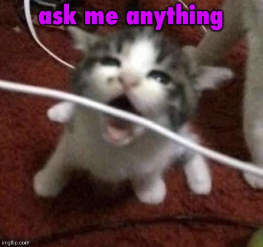 I LOVE EATING CABLES | ask me anything | image tagged in i love eating cables | made w/ Imgflip meme maker
