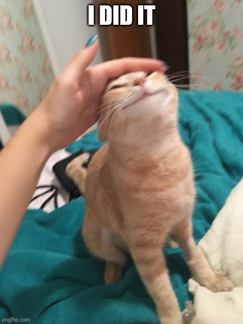 :> | I DID IT | image tagged in cat pat | made w/ Imgflip meme maker