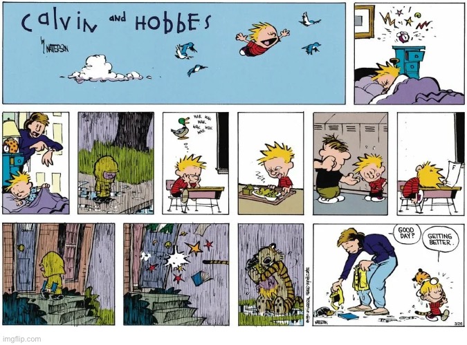 Happiness is a rain-soaked tiger… | image tagged in calvin and hobbes,comics,another bad day,getting better,welcome home | made w/ Imgflip meme maker