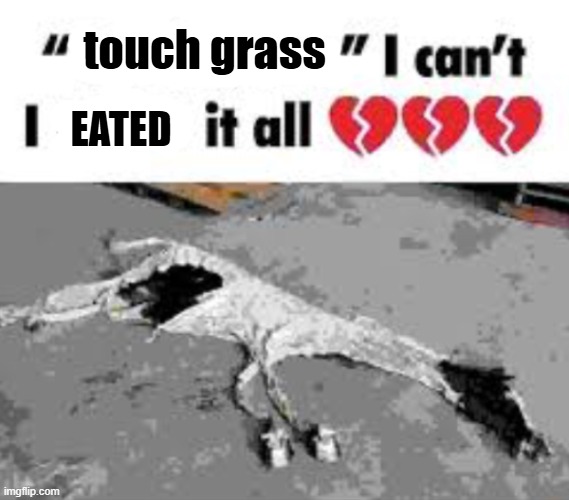 I can't I X it all | touch grass EATED | image tagged in i can't i x it all | made w/ Imgflip meme maker