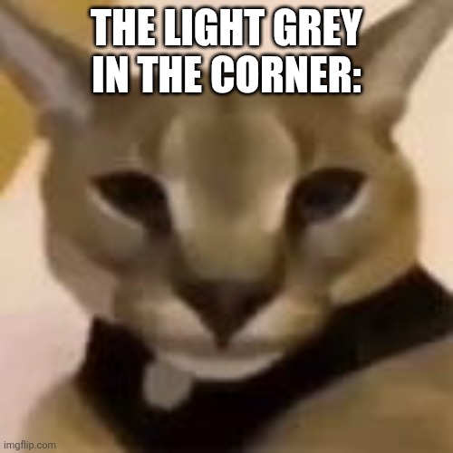 Hecker | THE LIGHT GREY IN THE CORNER: | image tagged in hecker | made w/ Imgflip meme maker