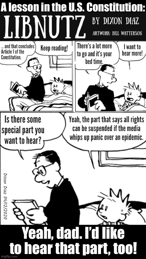 Just like they try to whip up panics about everything else… | A lesson in the U.S. Constitution:; Yeah, dad. I’d like to hear that part, too! | image tagged in political meme,comics,libnutz,the constitution | made w/ Imgflip meme maker