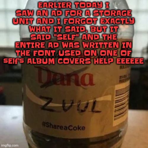 I LOVE sElf | EARLIER TODAY I SAW AN AD FOR A STORAGE UNIT AND I FORGOT EXACTLY WHAT IT SAID, BUT IT SAID "SELF" AND THE ENTIRE AD WAS WRITTEN IN THE FONT USED ON ONE OF sElf's ALBUM COVERS HELP EEEEEE | image tagged in there is no diet only zero | made w/ Imgflip meme maker