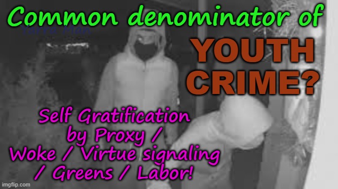 Common denominator for out of control crime? Greens / Labor / Woke! | Common denominator of; Yarra Man; YOUTH CRIME? Self Gratification by Proxy / Woke / Virtue signaling / Greens / Labor! | image tagged in self gratification by proxy,virtue signaling,progressives,democrats,do gooders,insanity | made w/ Imgflip meme maker