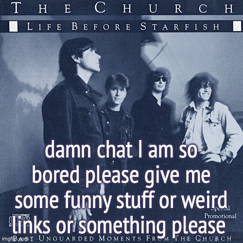 Life Before Starfish | damn chat I am so bored please give me some funny stuff or weird links or something please | image tagged in life before starfish | made w/ Imgflip meme maker