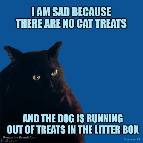 The Eco System of Treats | I AM SAD BECAUSE THERE ARE NO CAT TREATS; AND THE DOG IS RUNNING OUT OF TREATS IN THE LITTER BOX | image tagged in contemplate cat,remus,cat,treats,litter box,what the dog doin | made w/ Imgflip meme maker