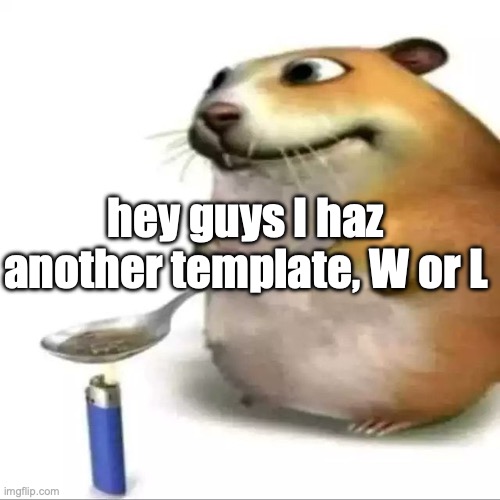 hampter | hey guys I haz another template, W or L | image tagged in hampter | made w/ Imgflip meme maker