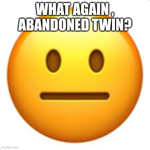 Not funny | WHAT AGAIN , ABANDONED TWIN? | image tagged in not funny | made w/ Imgflip meme maker