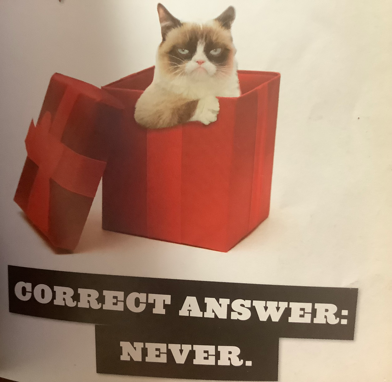 Correct answer: never Blank Meme Template