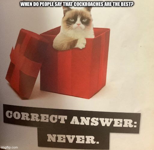 Check out an example of my own meme template! | WHEN DO PEOPLE SAY THAT COCKROACHES ARE THE BEST? | image tagged in correct answer never | made w/ Imgflip meme maker
