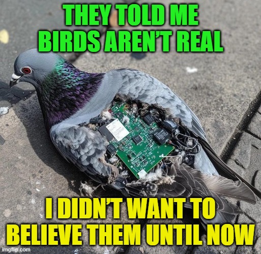 birds | THEY TOLD ME BIRDS AREN’T REAL; I DIDN’T WANT TO BELIEVE THEM UNTIL NOW | image tagged in memes | made w/ Imgflip meme maker