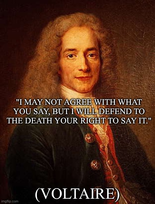 Steam Mood | "I MAY NOT AGREE WITH WHAT YOU SAY, BUT I WILL DEFEND TO THE DEATH YOUR RIGHT TO SAY IT."; (VOLTAIRE) | image tagged in voltaire,moderators,mood,fascism,democracy,i love democracy | made w/ Imgflip meme maker