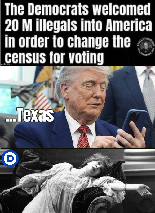 image tagged in donald trump,democrats,voting,american politics | made w/ Imgflip meme maker